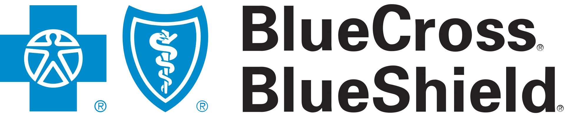 Blue Cross Blue Shield Association Logo